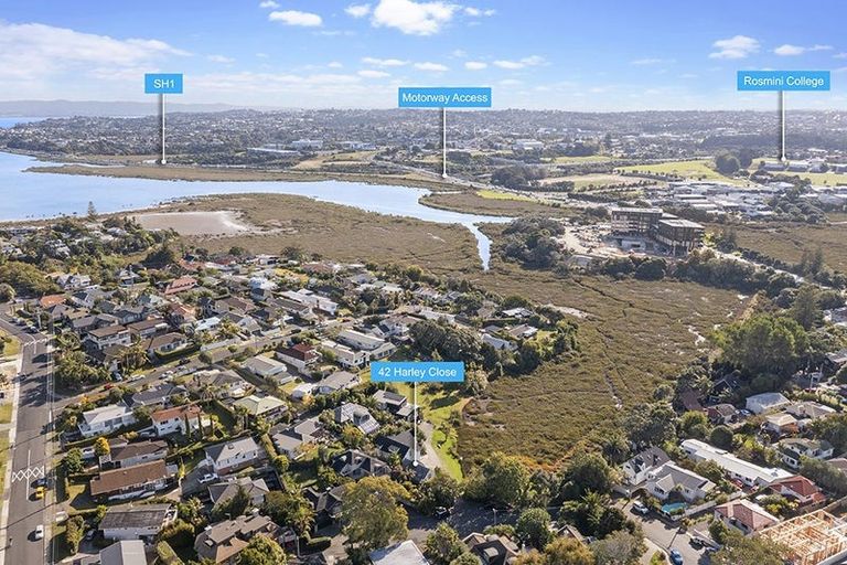 Photo of property in 42 Harley Close, Hauraki, Auckland, 0622