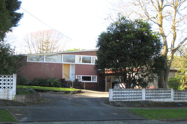 Photo of property in 21 Macarthur Street, Levin, 5510