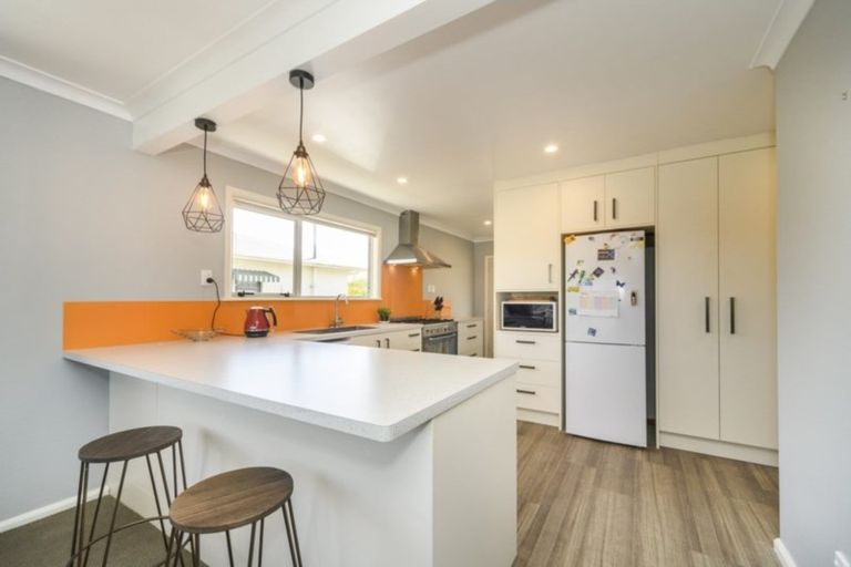 Photo of property in 17 Forbury Avenue, Takaro, Palmerston North, 4412