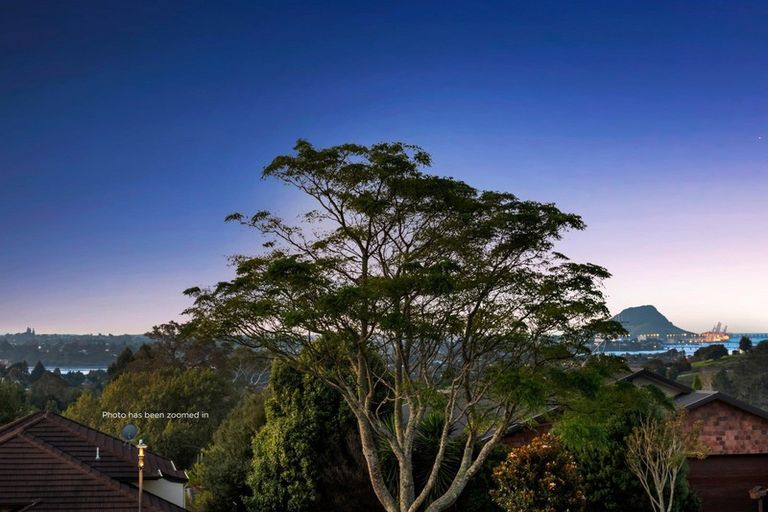 Photo of property in 16 Riddington Rise, Ohauiti, Tauranga, 3112