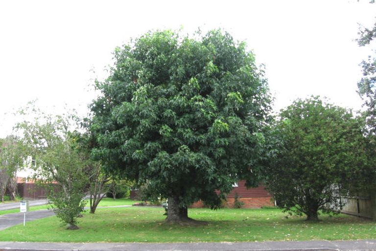 Photo of property in 127 Moore Street, Hillcrest, Auckland, 0627