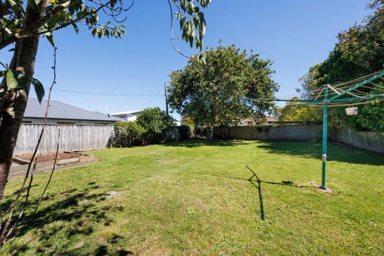 Photo of property in 119 Ferguson Street, West End, Palmerston North, 4412