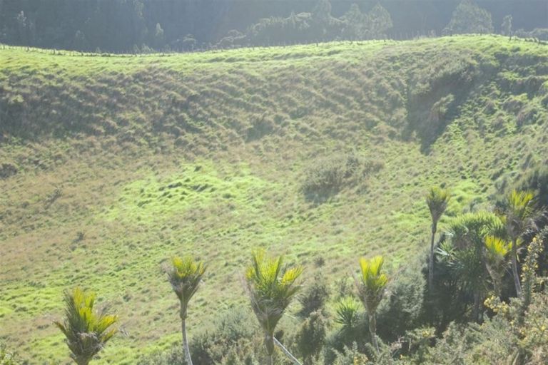 Photo of property in 71b Taiapa Valley Road, Muriwai, 0881