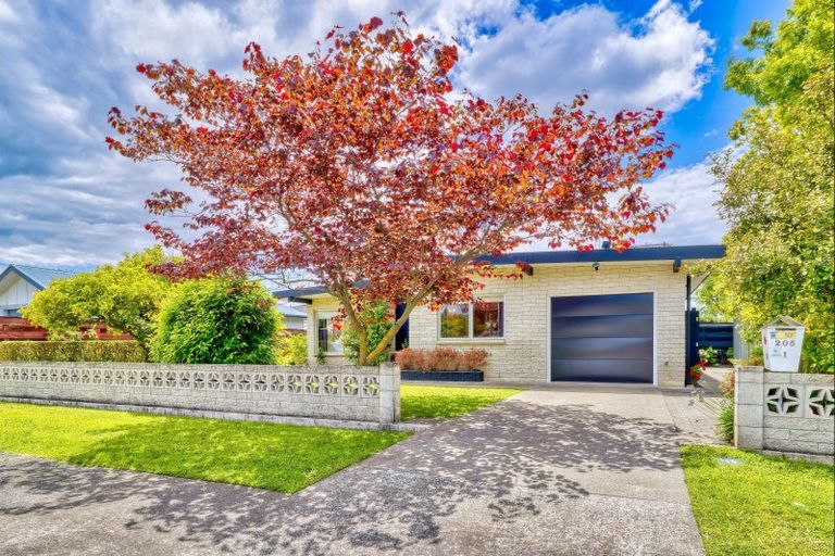 Photo of property in 1/205 Knight Street, Hastings, 4122