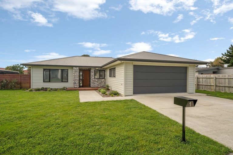 Photo of property in 1 Dow Chung Place, Otaki, 5512