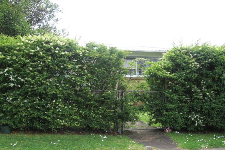 Photo of property in 235 Puhinui Road, Papatoetoe, Auckland, 2025