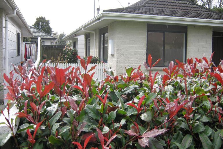 Photo of property in 332c Featherston Street, Palmerston North, 4414