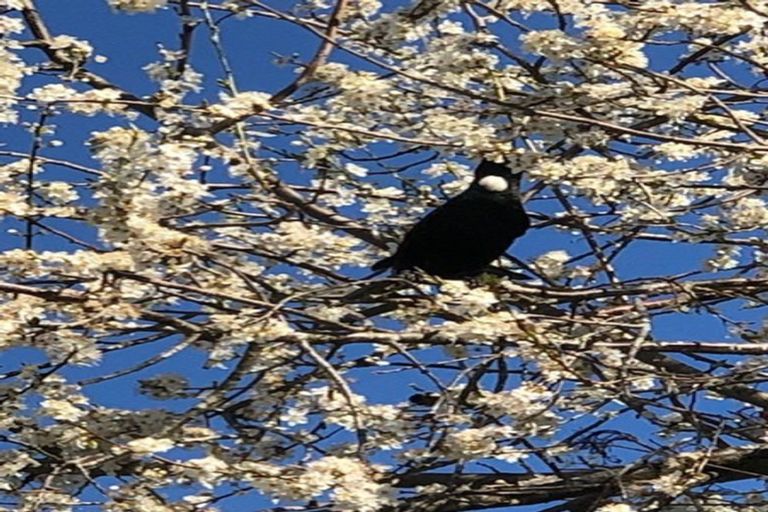 Photo of property in 23 Springs Junction, Springs Junction, Reefton, 7895