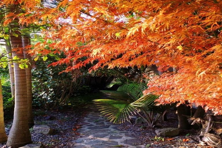 Photo of property in 52 Corinna Street, Welcome Bay, Tauranga, 3112