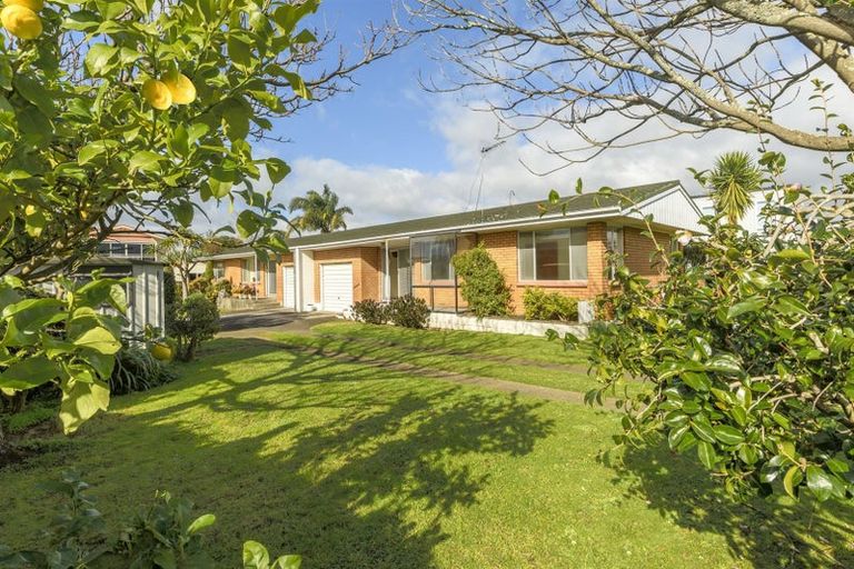 Photo of property in 5a Laing Place, Otumoetai, Tauranga, 3110