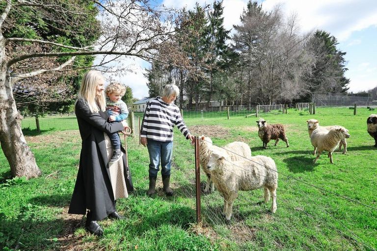 Photo of property in 60 Retreat Road, Waihopai, Invercargill, 9872