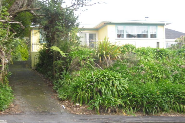 Photo of property in 55 Huatoki Street, Vogeltown, New Plymouth, 4310