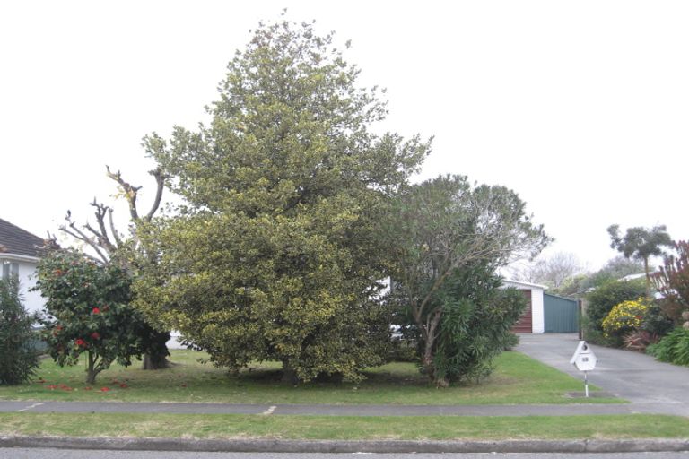 Photo of property in 12 Massey Crescent, Marewa, Napier, 4110