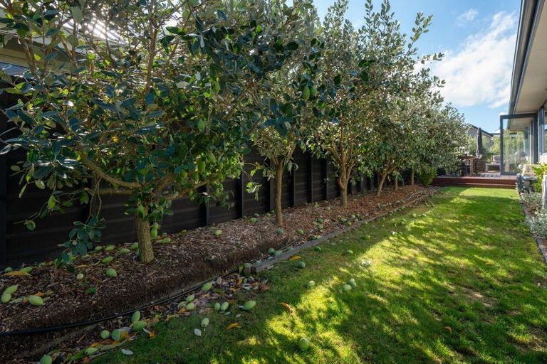 Photo of property in 14 Lakemere Way, Kinloch, Taupo, 3377