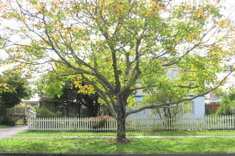 Photo of property in 236 West Parkdale Street, Tokoroa, 3420