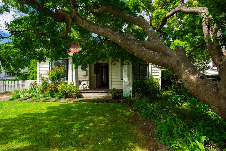 Photo of property in 119 Iranui Road, Inner Kaiti, Gisborne, 4010