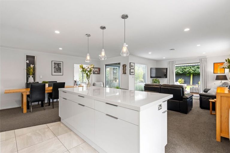 Photo of property in 9 Birkdale Drive, Shirley, Christchurch, 8061