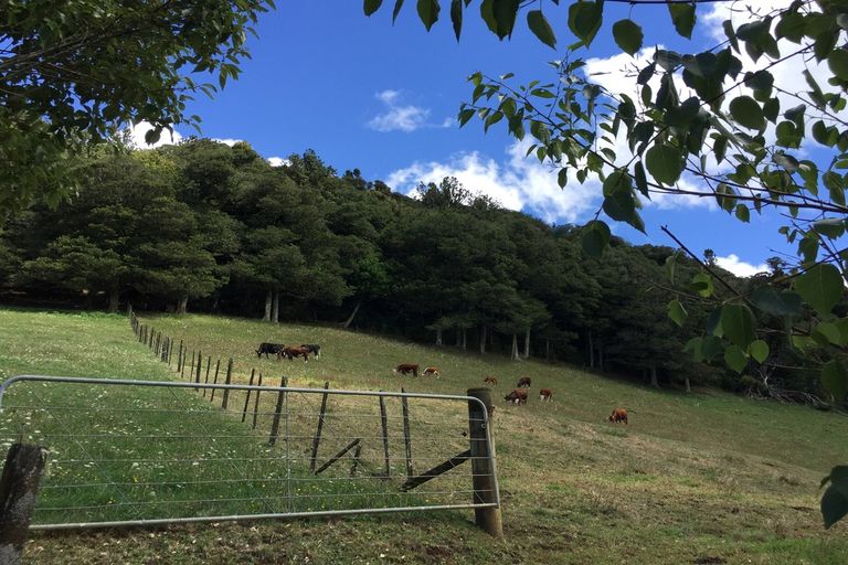 Photo of property in 43 Charles Walton Road, Maungatapere, Whangarei, 0179