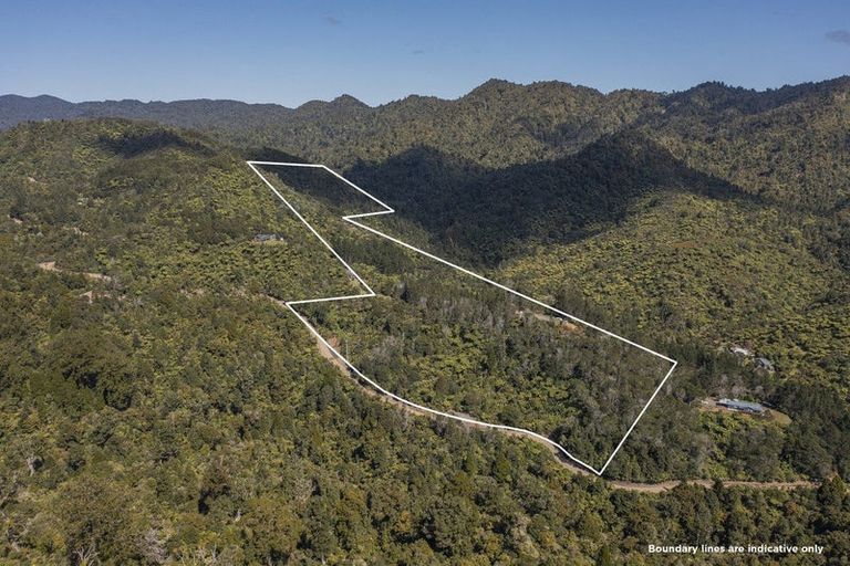 Photo of property in 800 The 309 Road, Waiau, Coromandel, 3581