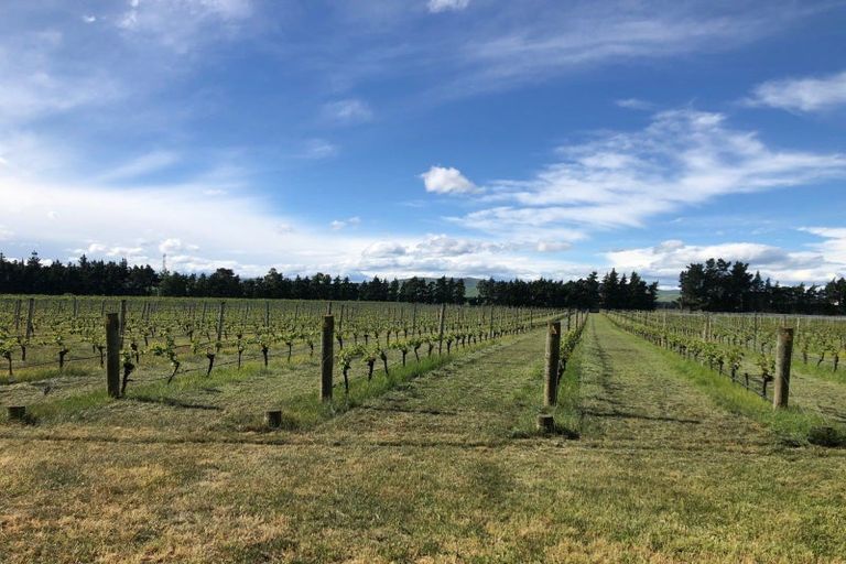 Photo of property in 246 Georges Road, Glasnevin, Amberley, 7482