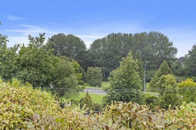 Photo of property in 12 Coulter Place, Geraldine, 7930