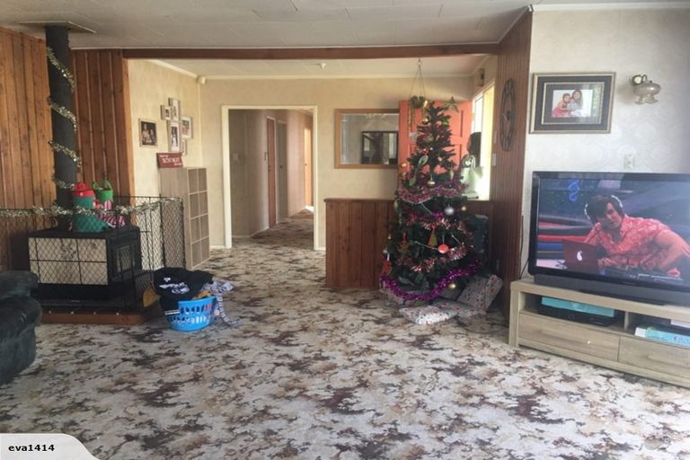 Photo of property in 53 Featherston Street, Levin, 5510