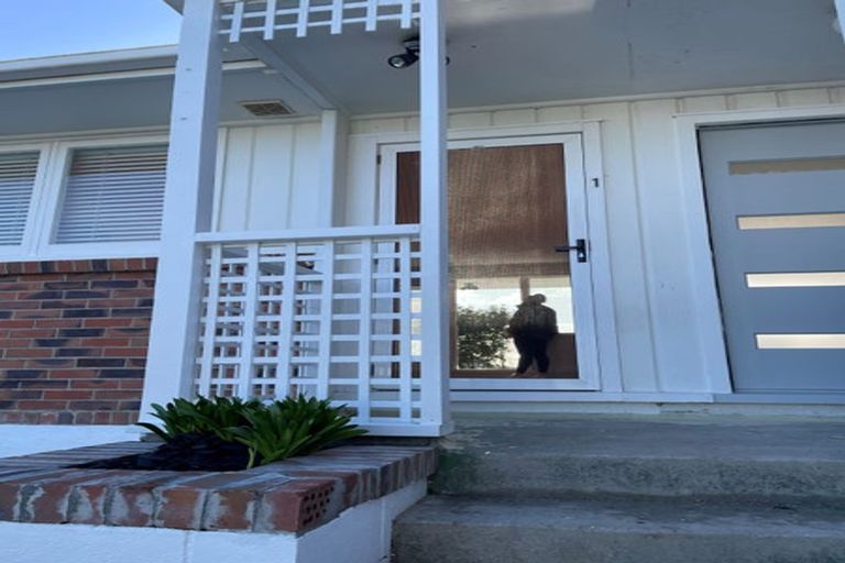 Photo of property in 1/13a Frost Road, Mount Roskill, Auckland, 1041