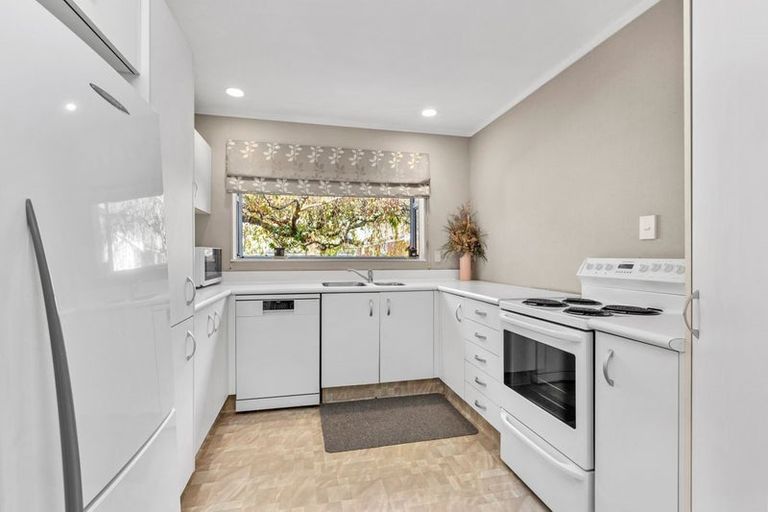 Photo of property in 15a Peachgrove Road, Hamilton East, Hamilton, 3216