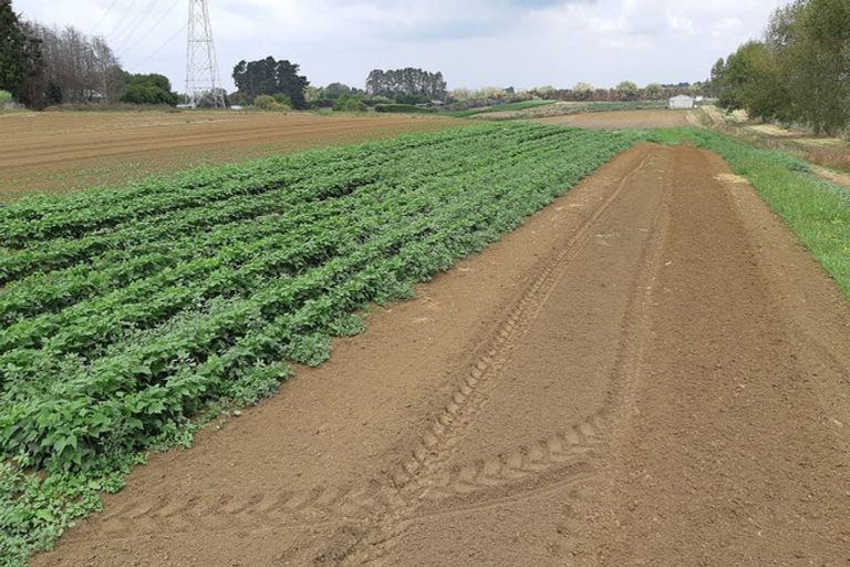 Photo of property in 1217 Glenbrook Road, Glenbrook, Waiuku, 2681