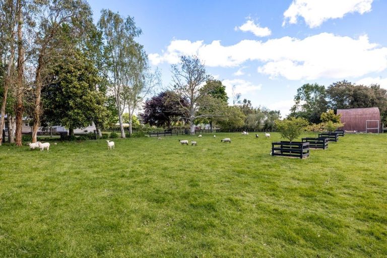 Photo of property in 5 Scotsman Valley Road, Tauwhare, Hamilton, 3287