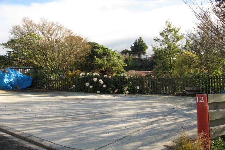 Photo of property in 12 Springhill Road, Mornington, Dunedin, 9011