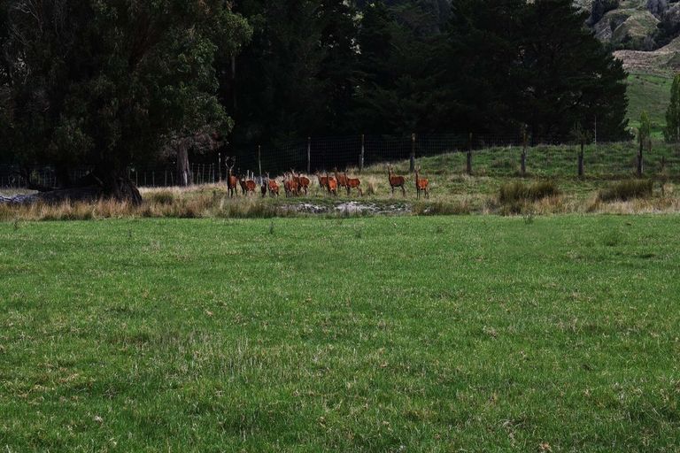 Photo of property in 2303 Lake Road, Frasertown, Wairoa, 4195