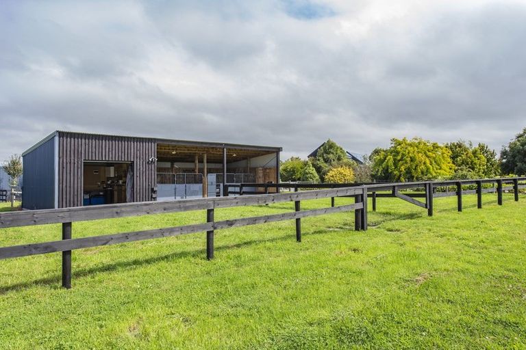 Photo of property in 45 Maskells Road, Balcairn, Amberley, 7481