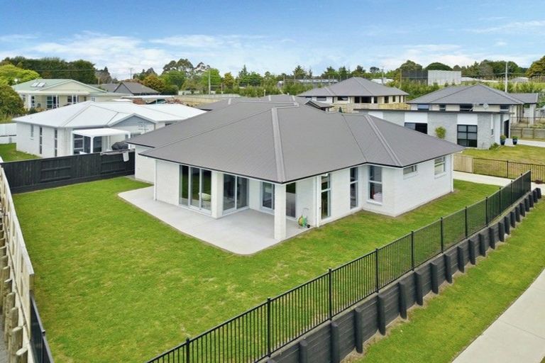 Photo of property in 70 Tynan Street, Te Puke, 3119