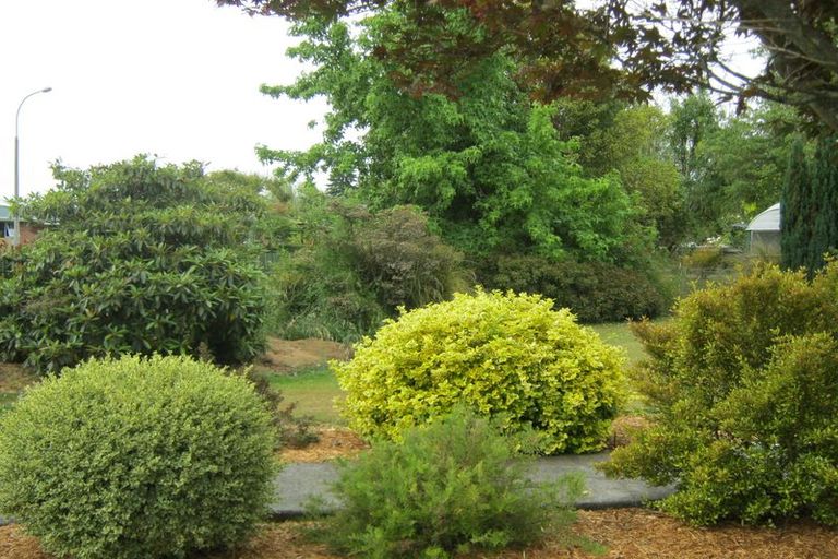 Photo of property in 38 Campbell Street, Geraldine, 7930