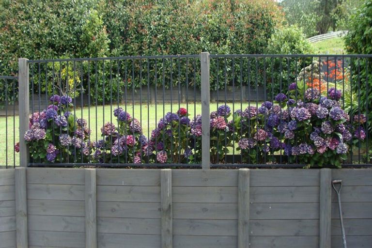 Photo of property in 49 Ailsa Street, Te Kuiti, 3910