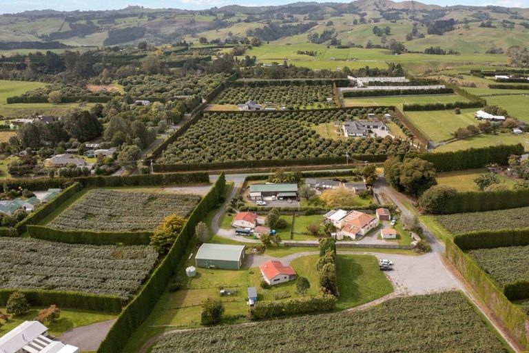 Photo of property in 856b Oropi Road, Oropi, Tauranga, 3173