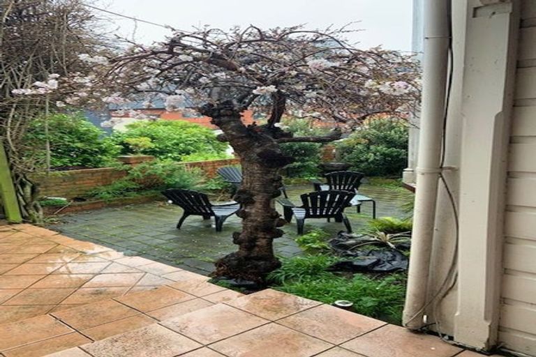 Photo of property in 50 Riddiford Street, Newtown, Wellington, 6021