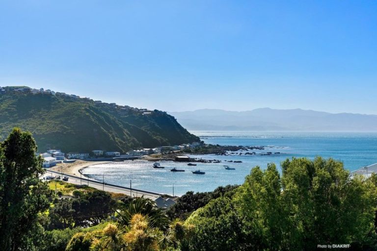 Photo of property in 24 Knoll Street, Island Bay, Wellington, 6023