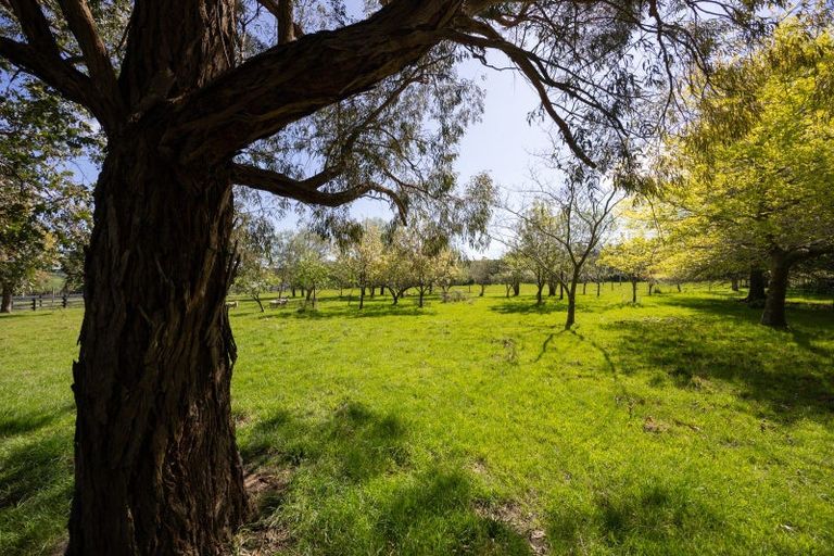 Photo of property in 122 Pohangina Road, Ashhurst, Palmerston North, 4470