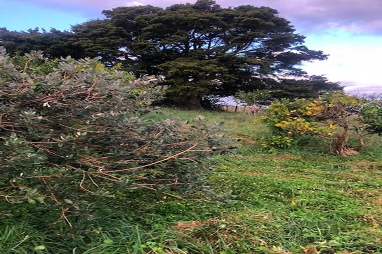 Photo of property in 110a Ruebe Road, Buckland, Pukekohe, 2677