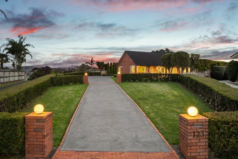 Photo of property in 123 Butcher Road, Pukekohe, 2120