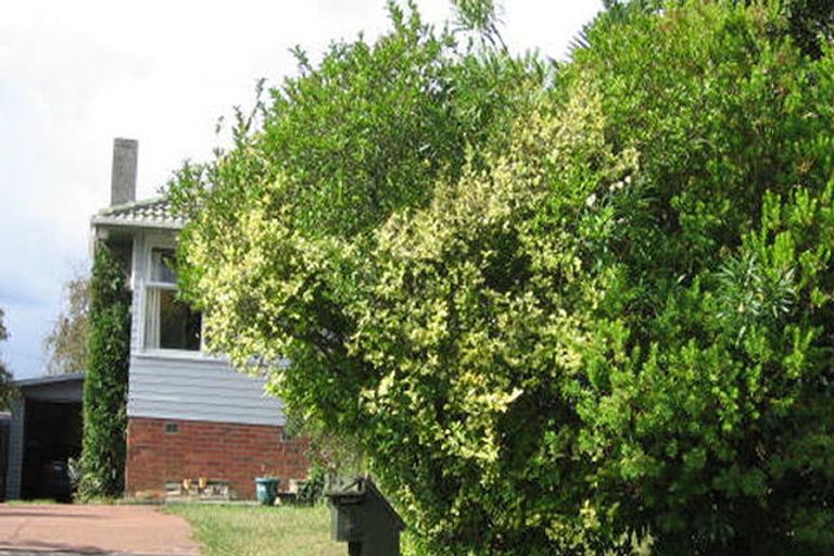 Photo of property in 3 Ashbourne Place, Glendene, Auckland, 0602