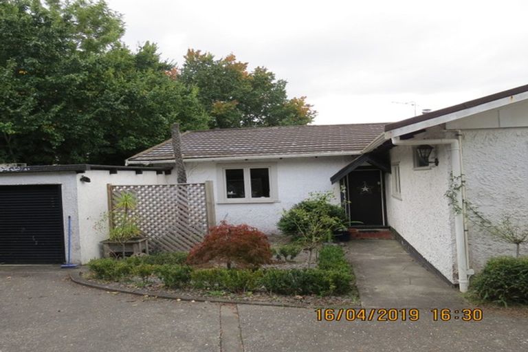 Photo of property in 19 Greenwood Road, Havelock North, 4130