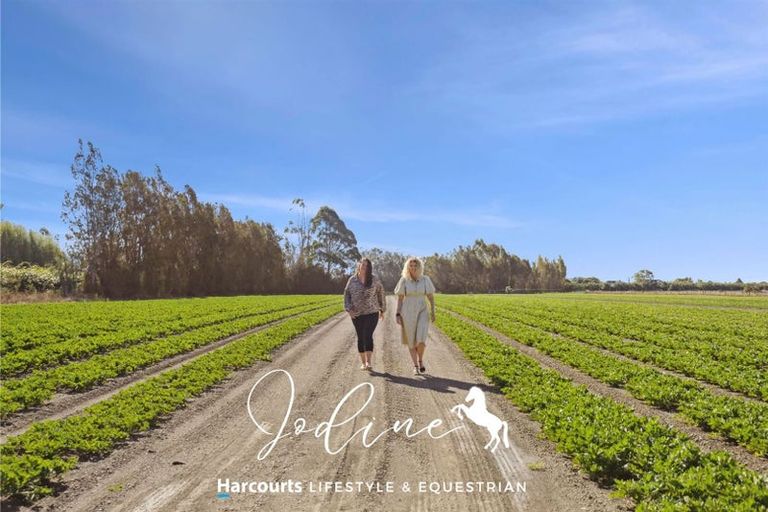 Photo of property in 444 Paton Road, Hope, Richmond, 7081