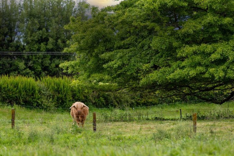 Photo of property in 112 Cochrane Road, Ngahinapouri, Ohaupo, 3882