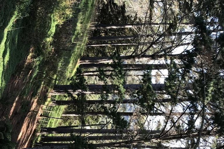 Photo of property in 75 Parakiore Road, Ngararatunua, Whangarei, 0176