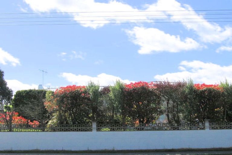 Photo of property in 45 Pihanga Street, Taupo, 3330