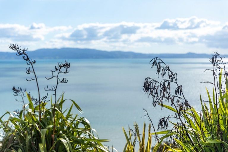 Photo of property in 25d Tapu Coroglen Road, Tapu, Thames, 3575