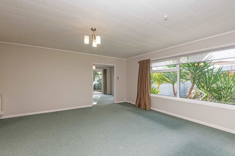 Photo of property in 95 Dittmer Drive, West End, Palmerston North, 4412